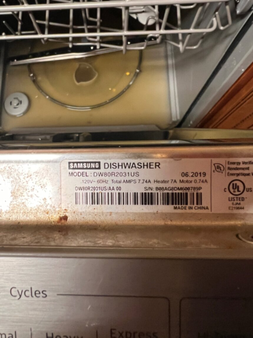 Samsung DW80R2031US dishwasher tub and filter cleaning